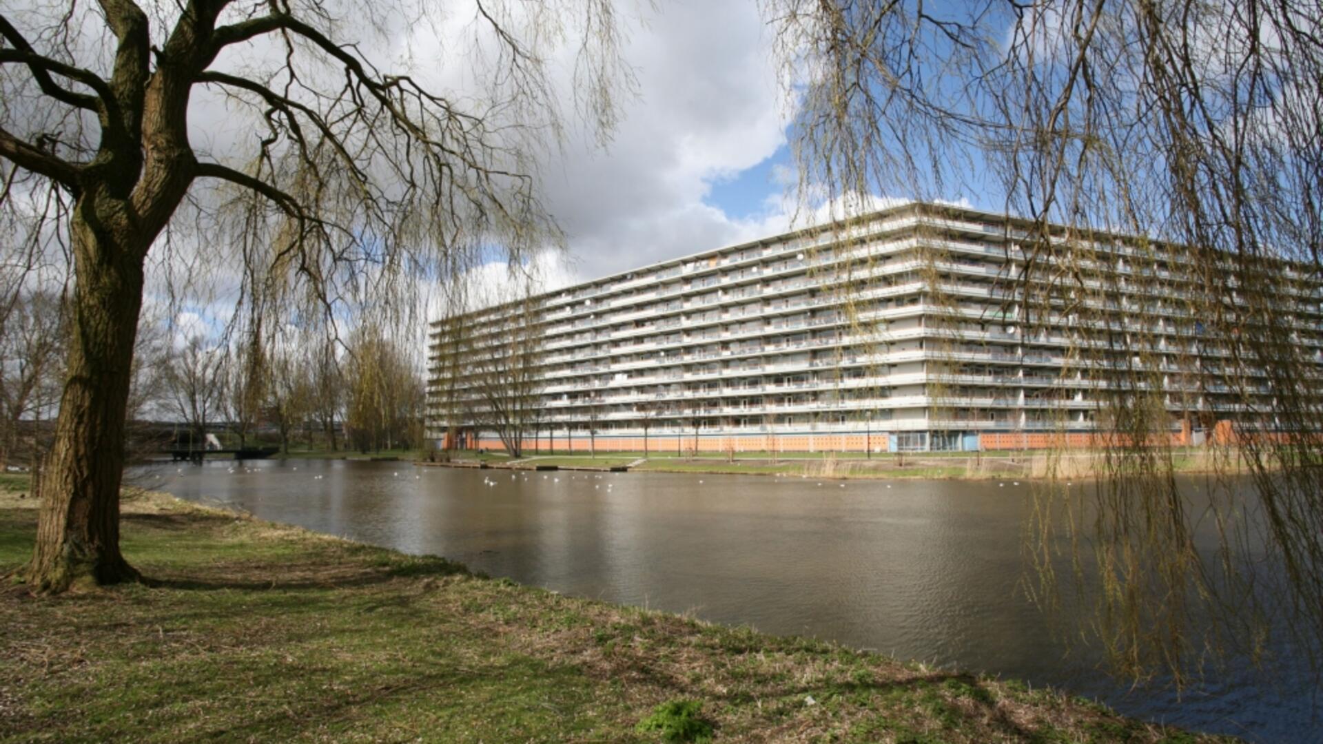 Grubbehoeve